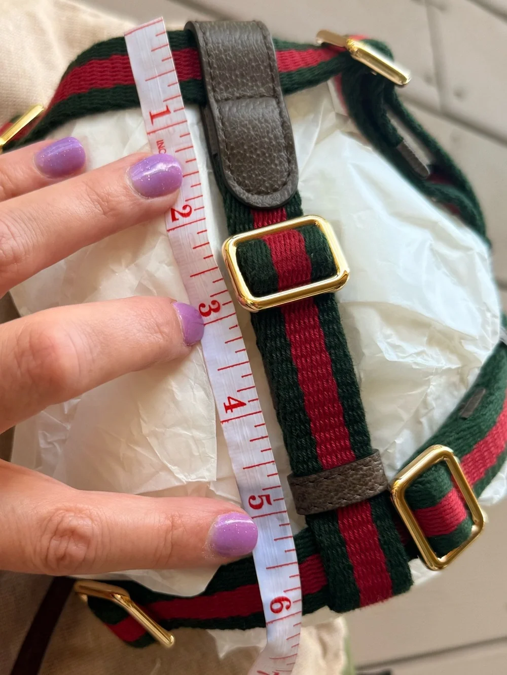 GUCCI Web Stripe S/M Faux Leather Dog Harness NEW